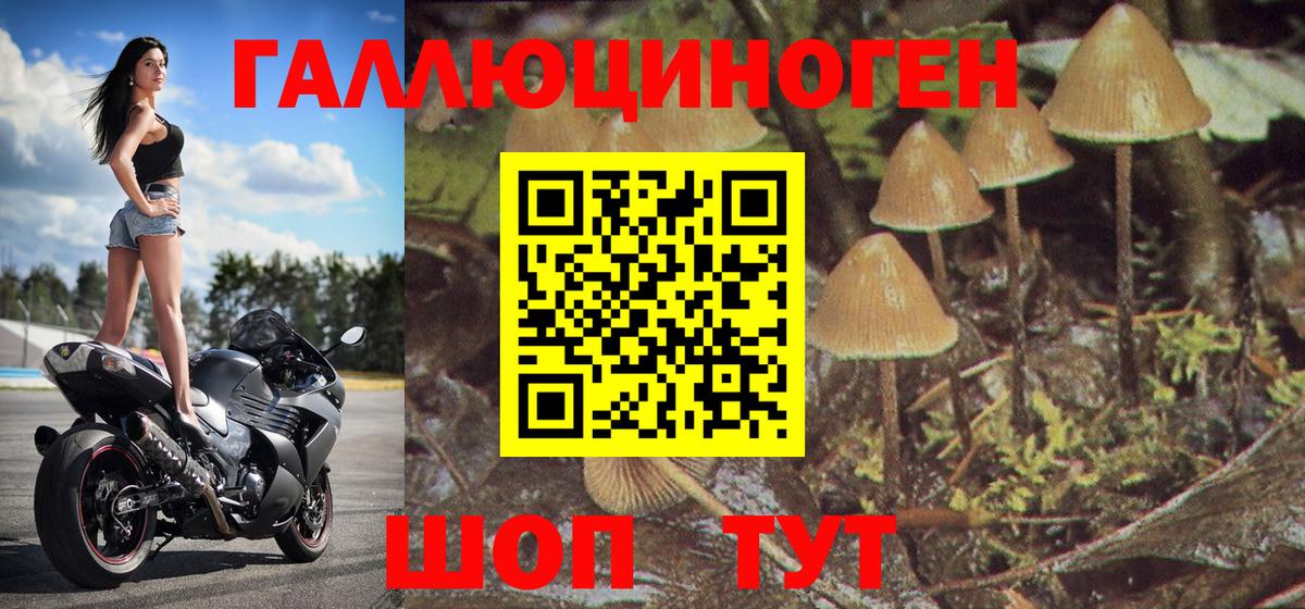 Серов  Псилоцибиновые грибы прущие грибы  Вход с VPN 